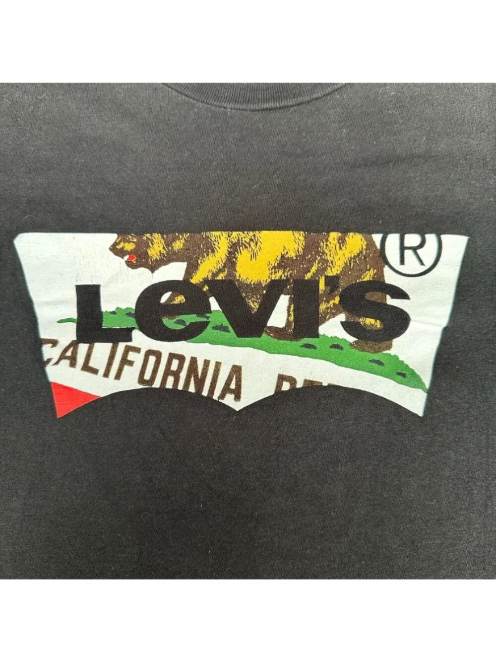 Levis vintage y2k